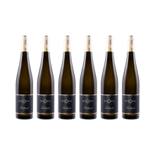 Kallstadt Riesling 2023 — 6× 750 ml
