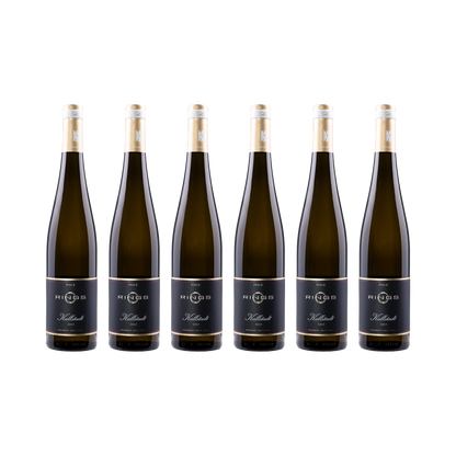 Kallstadt Riesling 2023 — 6× 750 ml