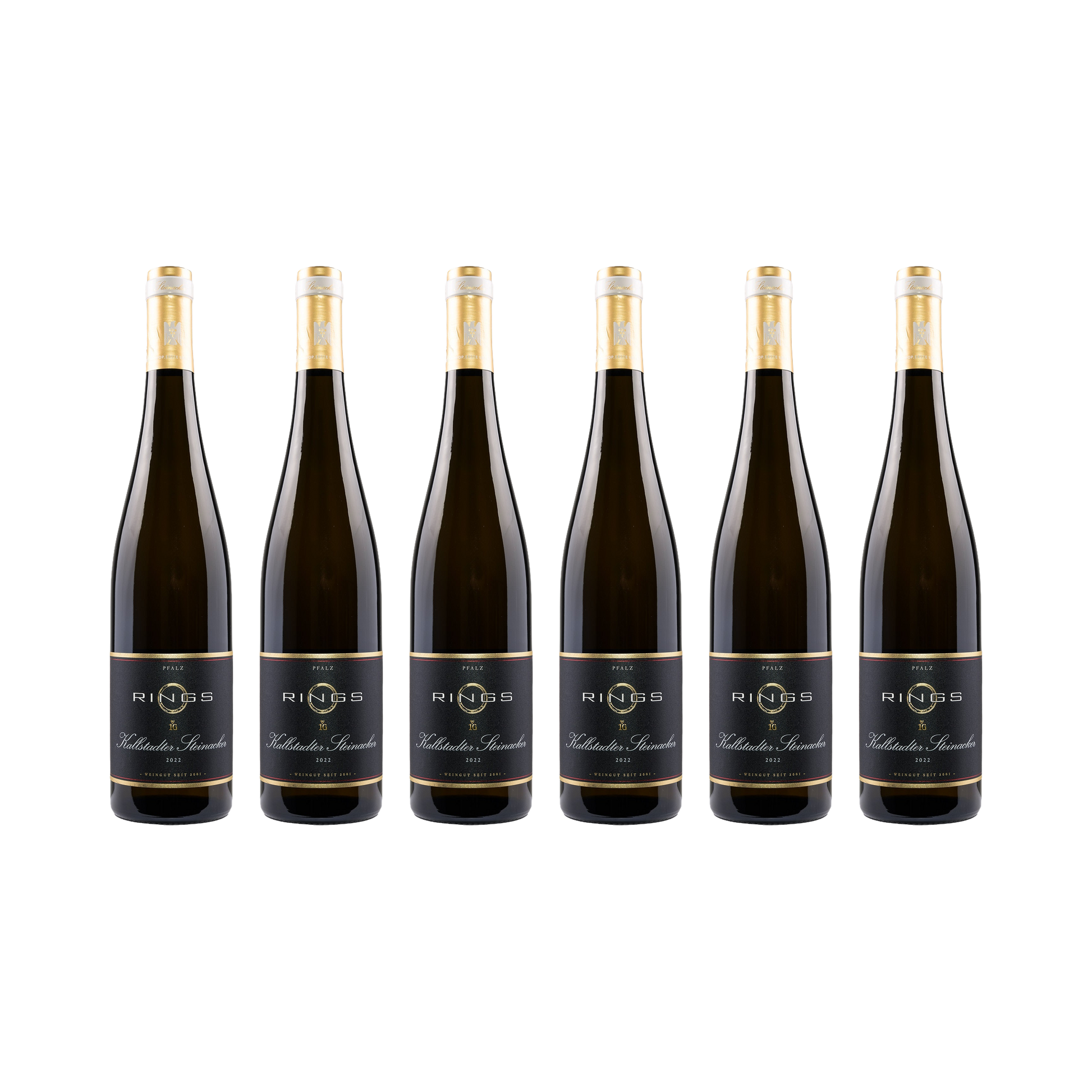 Kallstadter Steinacker Riesling 2022 — 6× 750 ml