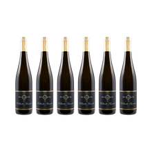 Kallstadter Steinacker Riesling 2022 — 6× 750 ml