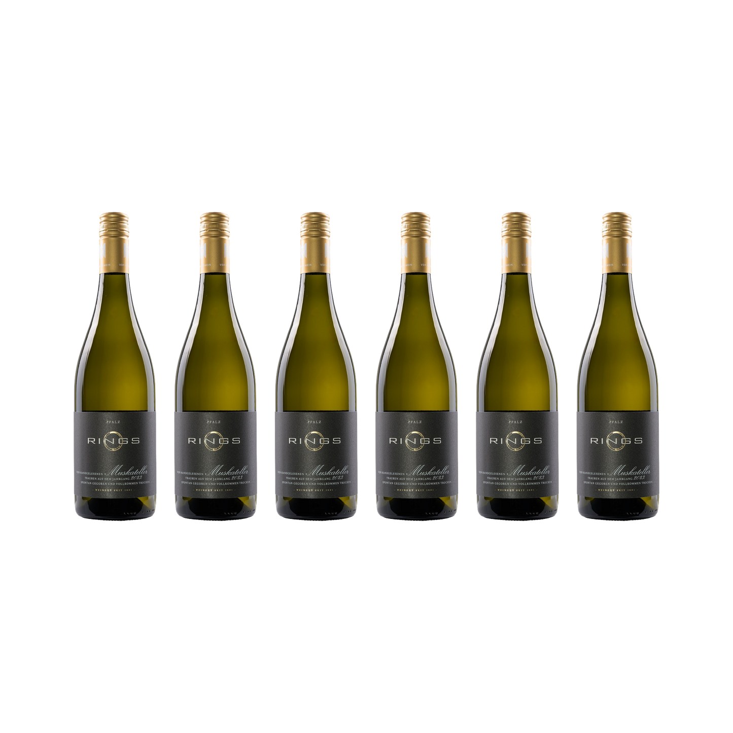 Muskateller 2023 — 6× 750 ml