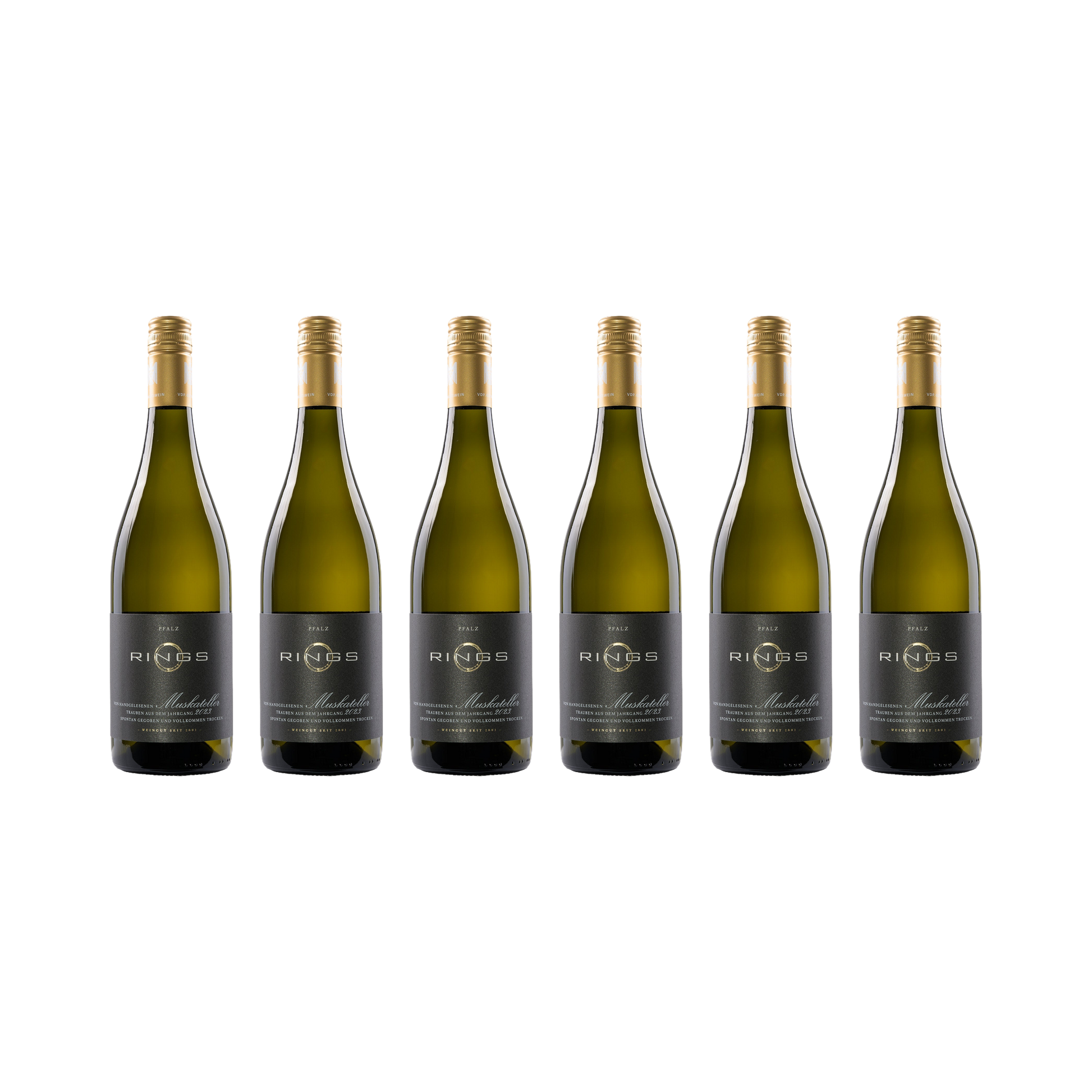 Muskateller 2023 — 6× 750 ml