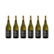 Muskateller 2023 — 6× 750 ml