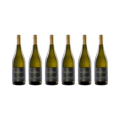 Muskateller 2023 — 6× 750 ml
