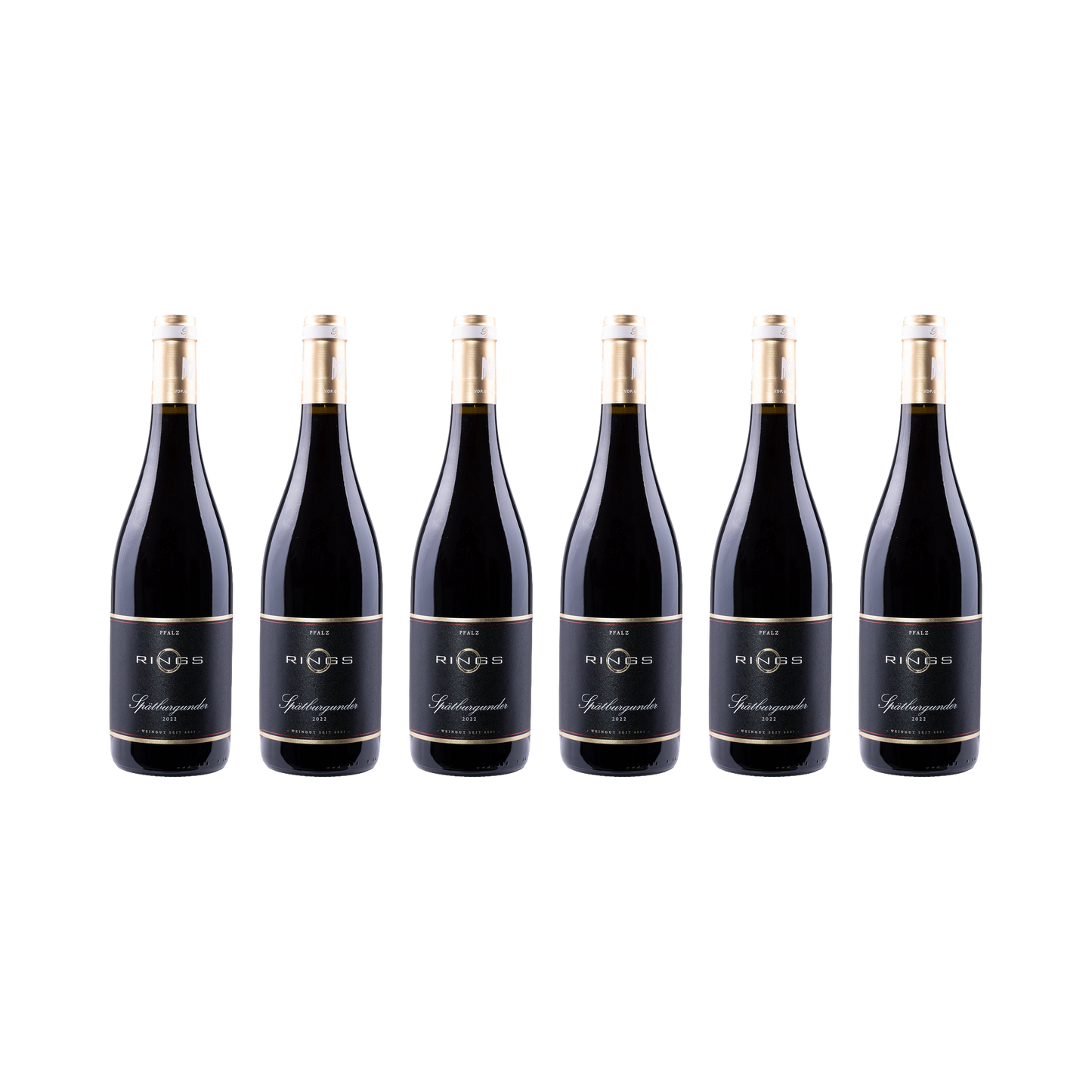Pfalz Spätburgunder 2022 — 6× 750 ml