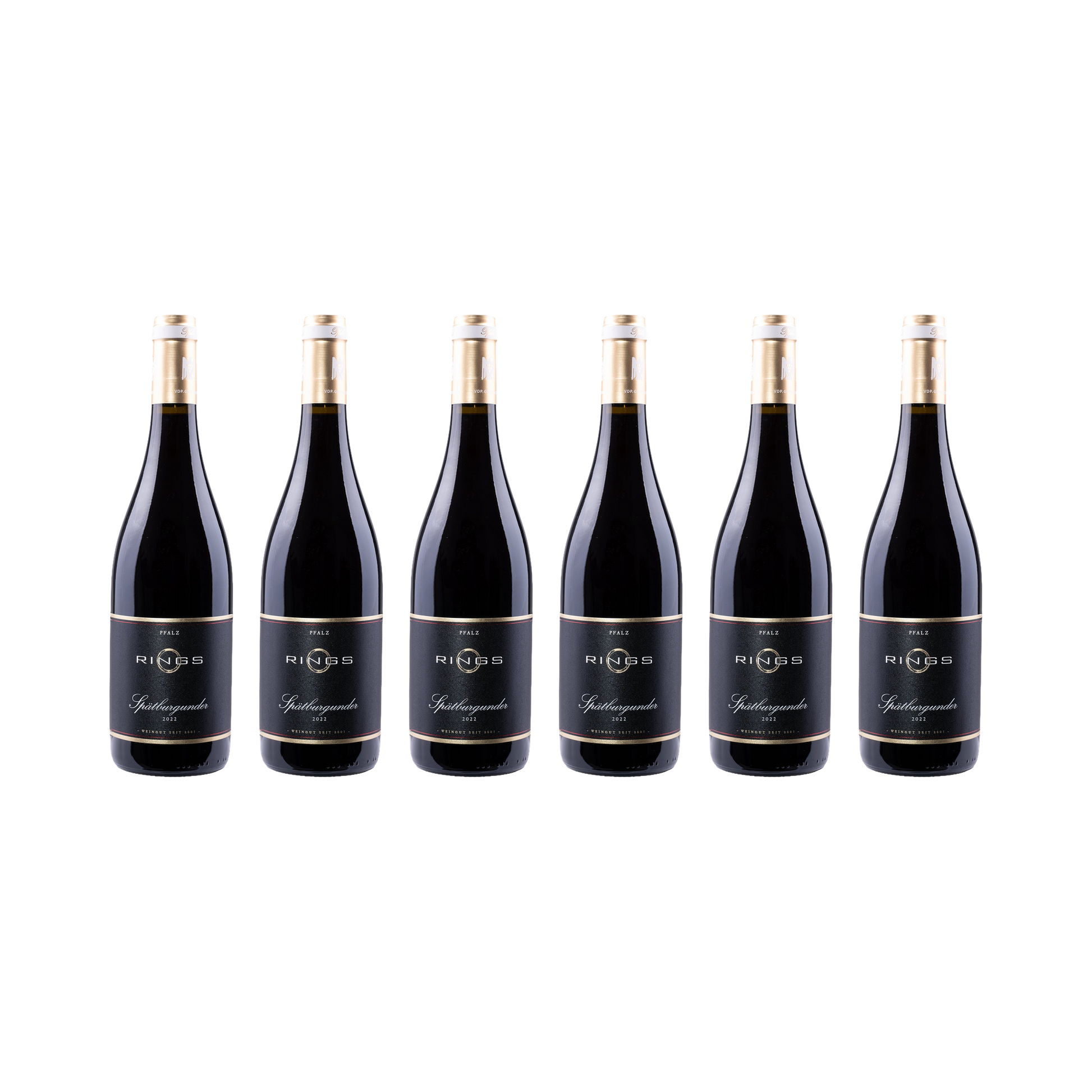 Pfalz Spätburgunder 2022 — 6× 750 ml