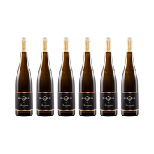 Saumagen Riesling GG 2021 — 6× 750 ml