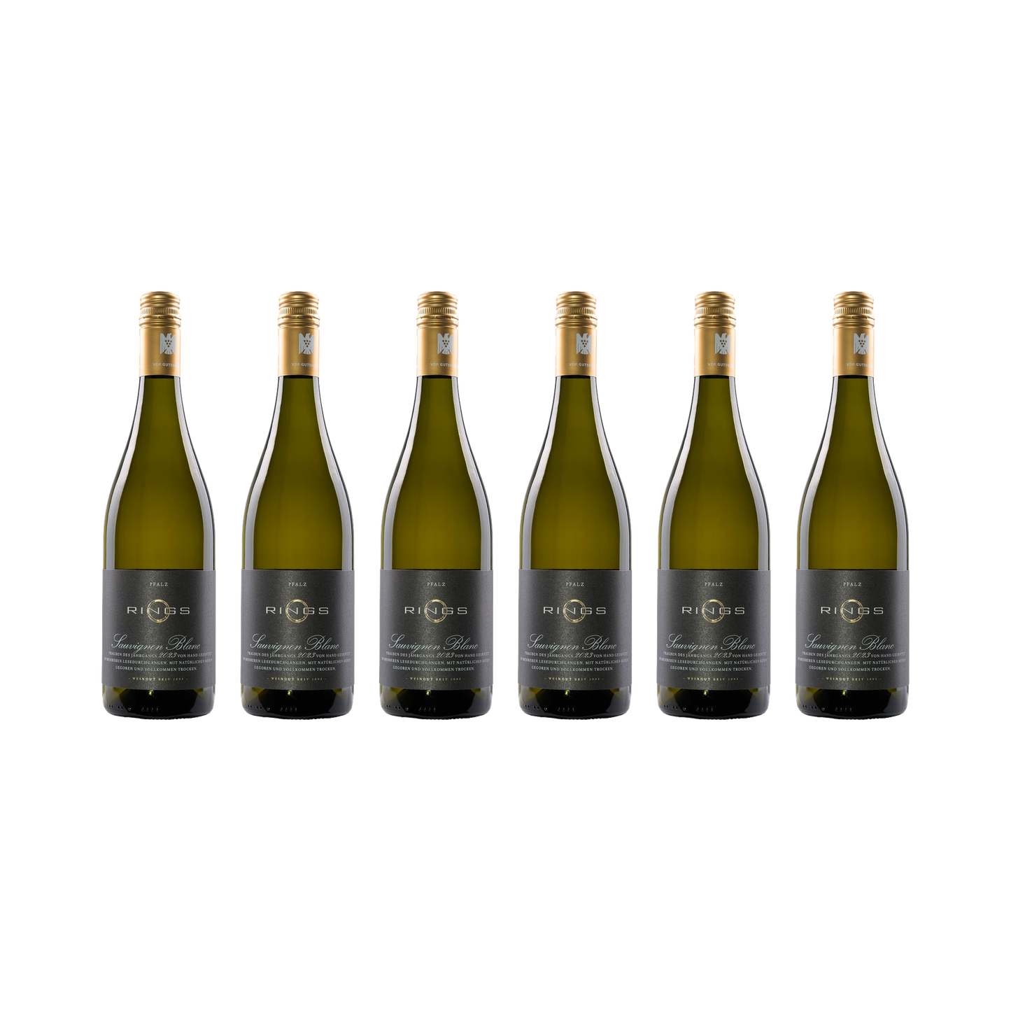 Sauvignon Blanc 2023 — 6× 750 ml