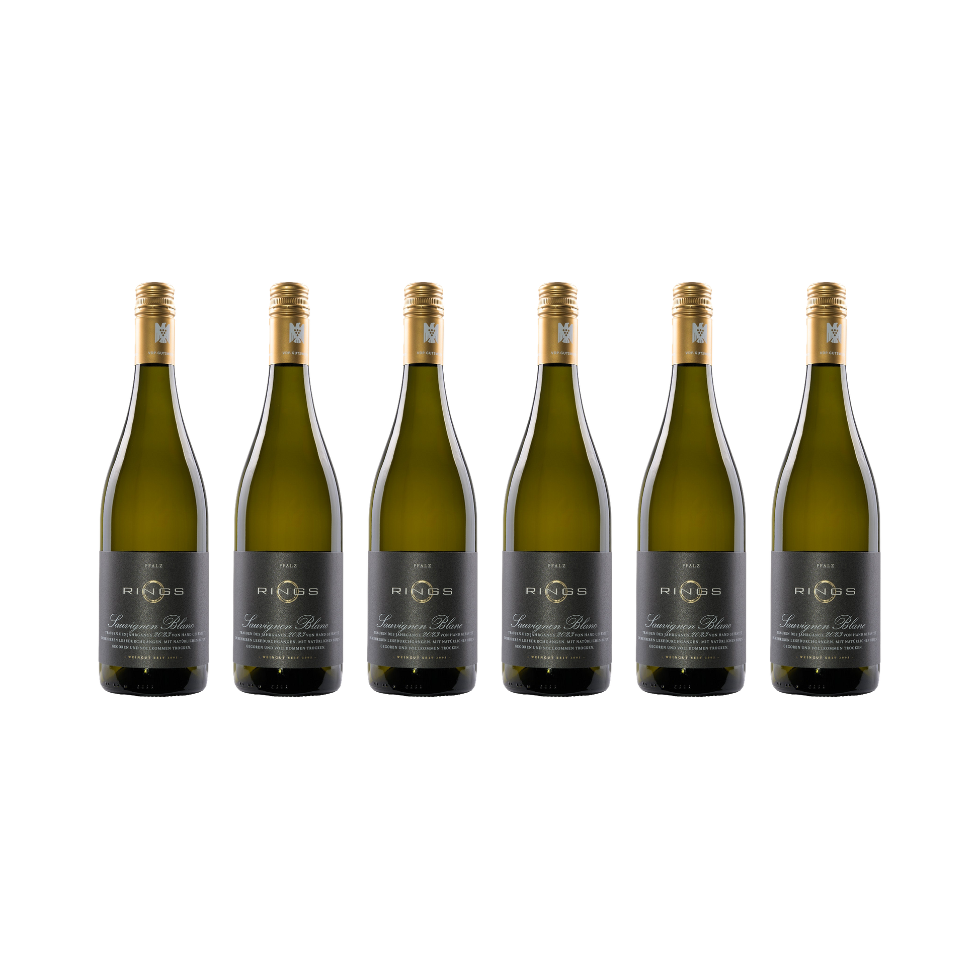 Sauvignon Blanc 2023 — 6× 750 ml