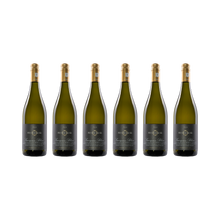 Sauvignon Blanc 2023 — 6× 750 ml