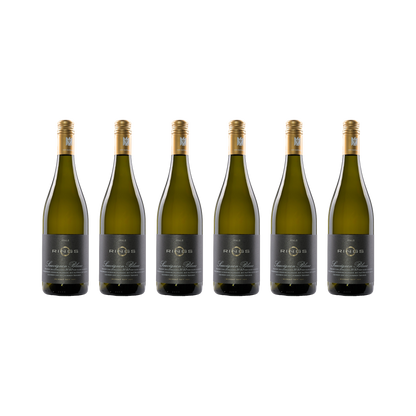 Sauvignon Blanc 2023 — 6× 750 ml