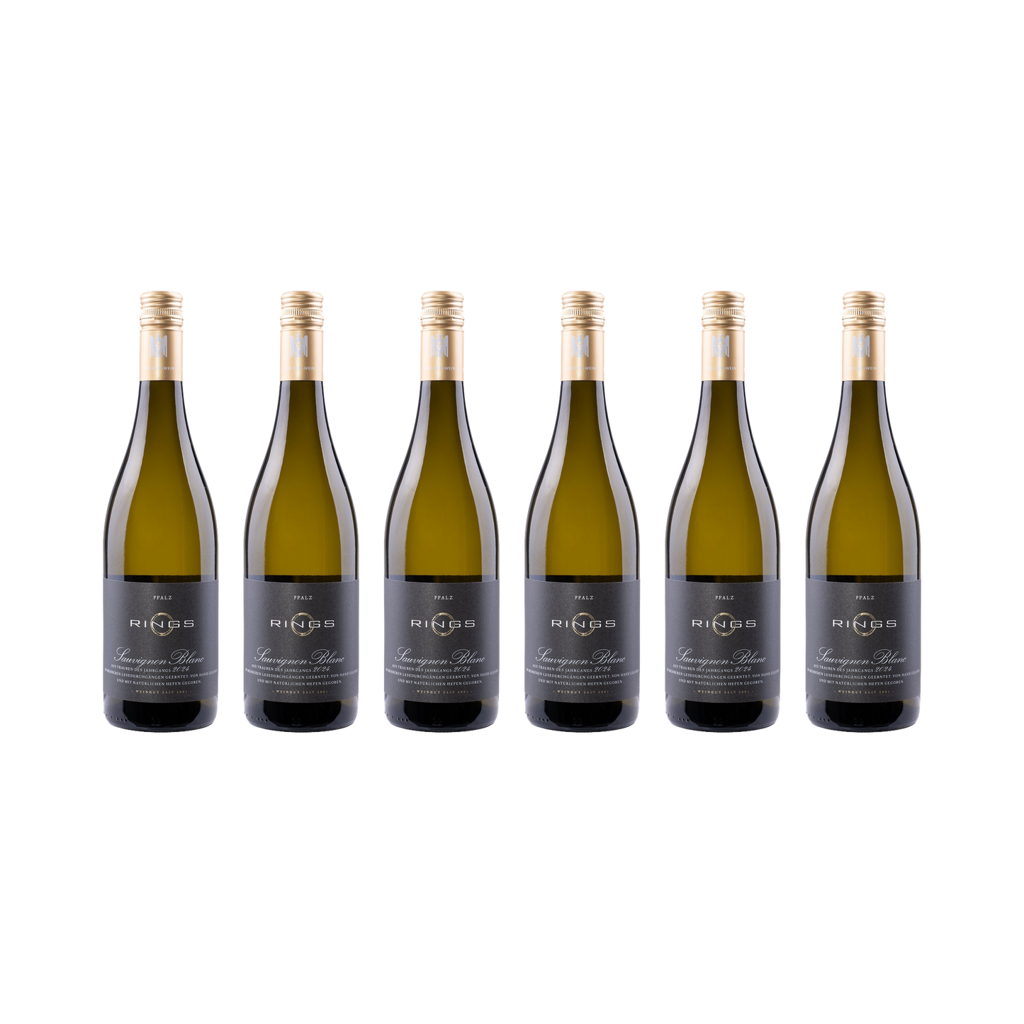 Sauvignon Blanc 2024 — 6× 750 ml