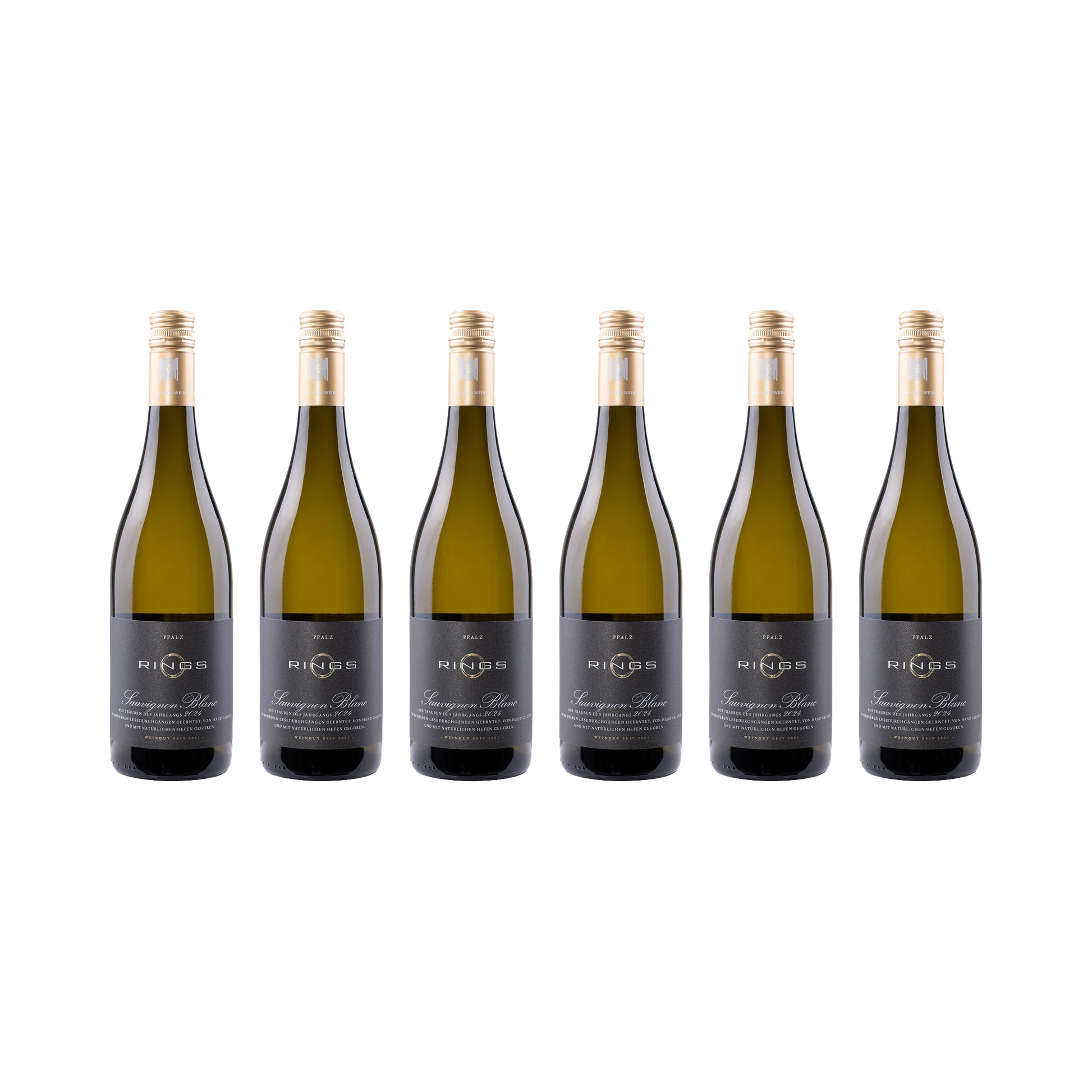 Sauvignon Blanc 2024 — 6× 750 ml