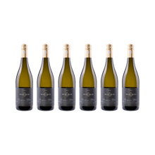 Sauvignon Blanc 2024 — 6× 750 ml