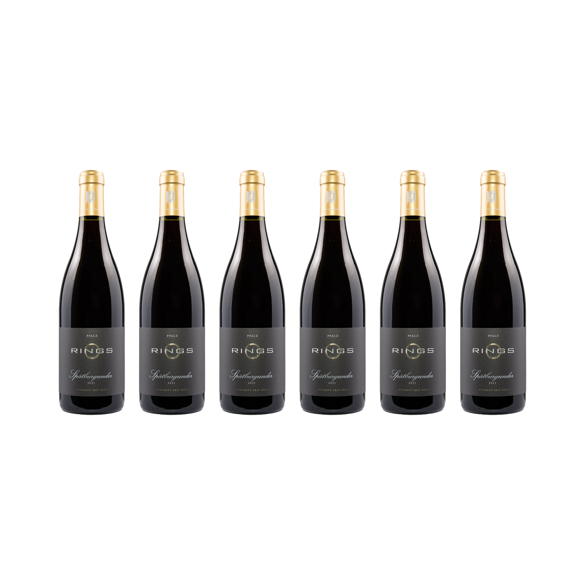 Pfalz Spätburgunder 2021 — 6× 750 ml