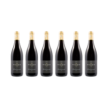 Pfalz Spätburgunder 2021 — 6× 750 ml