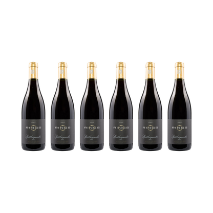 Pfalz Spätburgunder 2021 — 6× 750 ml