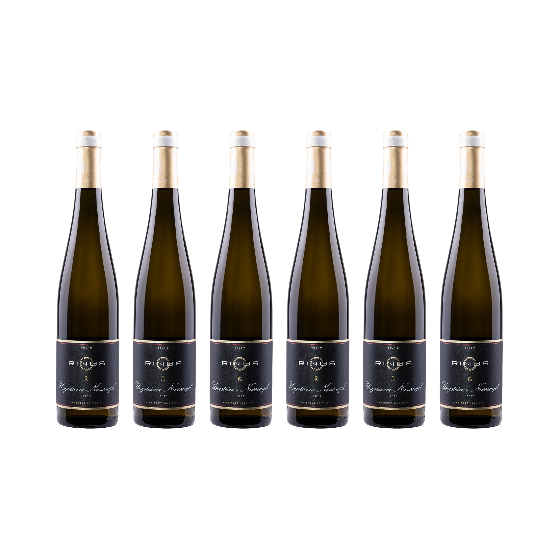 Ungsteiner Nussriegel Riesling 2023 — 6× 750 ml