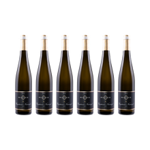 Ungsteiner Nussriegel Riesling 2023 — 6× 750 ml