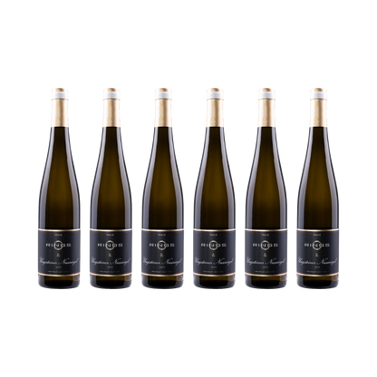 Ungsteiner Nussriegel Riesling 2023 — 6× 750 ml