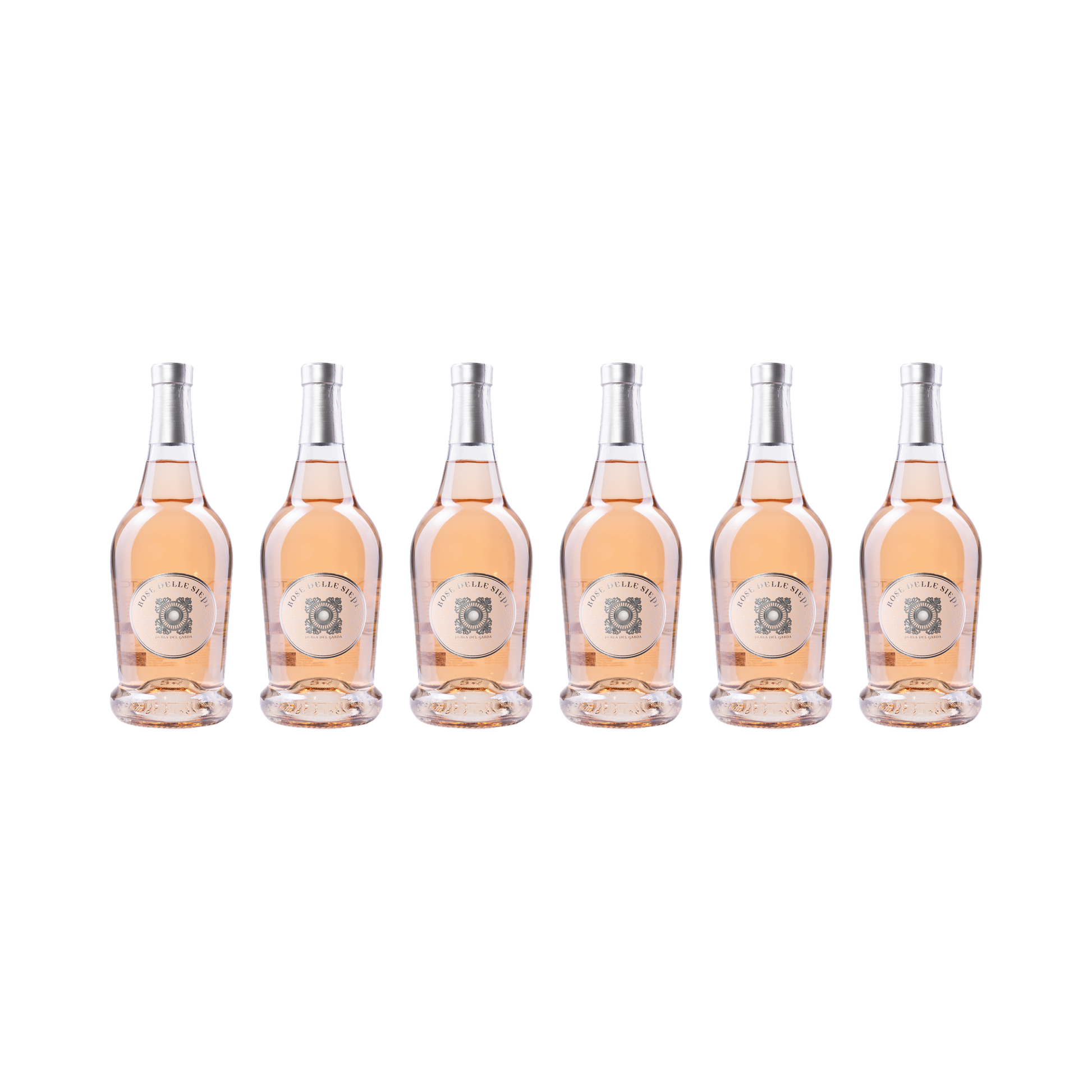 Rose delle Siepi – 2025 – 6er Set