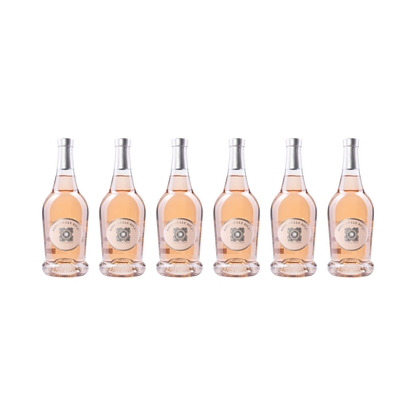Rose delle Siepi – 2025 – 6er Set