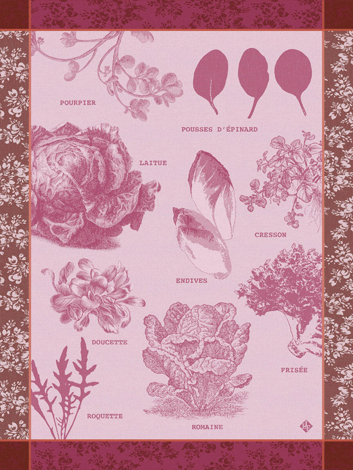Geschirrtuch  Salades Illustrées  Chicorée