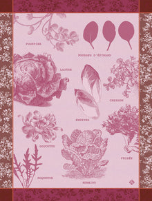 Geschirrtuch  Salades Illustrées  Chicorée