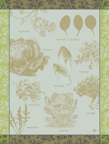 Geschirrtuch  Salades Illustrées  Endivie