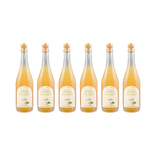Bergamotte Rosmarin Sparkling alkoholfrei — 6× 700 ml