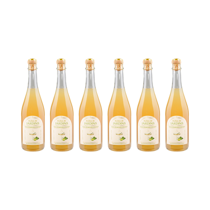 Bergamotte Rosmarin Sparkling alkoholfrei — 6× 700 ml