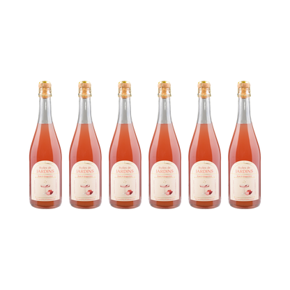 Rose Ingwer Sparkling alkoholfrei — 6× 700 ml