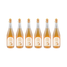 Traube Walnuss Sparkling alkoholfrei — 6× 700 ml