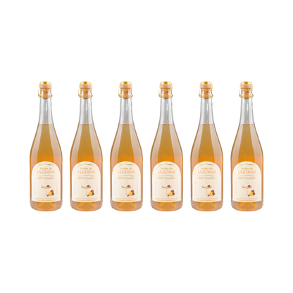 Traube Walnuss Sparkling alkoholfrei — 6× 700 ml