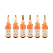 Blutsbruder Rosé – 2024 — 6er Set