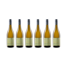 Grauburgunder – 2024 — 6er Set