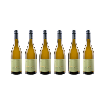 Grauburgunder – 2024 — 6er Set