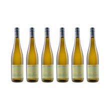Gelber Muskateller – 2025 – 6er-Paket