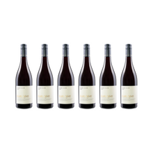 Pinot Noir – 2023 — 6er Set