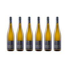 Riesling – 2025 – 6er-Paket
