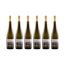 Riesling Osthofen – 2021 — 6er Set
