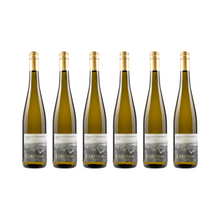 Riesling Osthofen – 2022 — 6er Set
