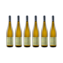 Sauvignon Blanc – 2024 — 6er Set