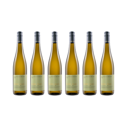 Sauvignon Blanc – 2024 — 6er Set