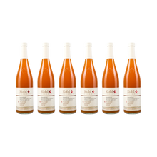 Apfelsaft mit Marille — 6× 750 ml