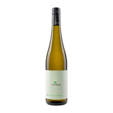 Loimer  Grüner Veltliner Kamptal 2023
