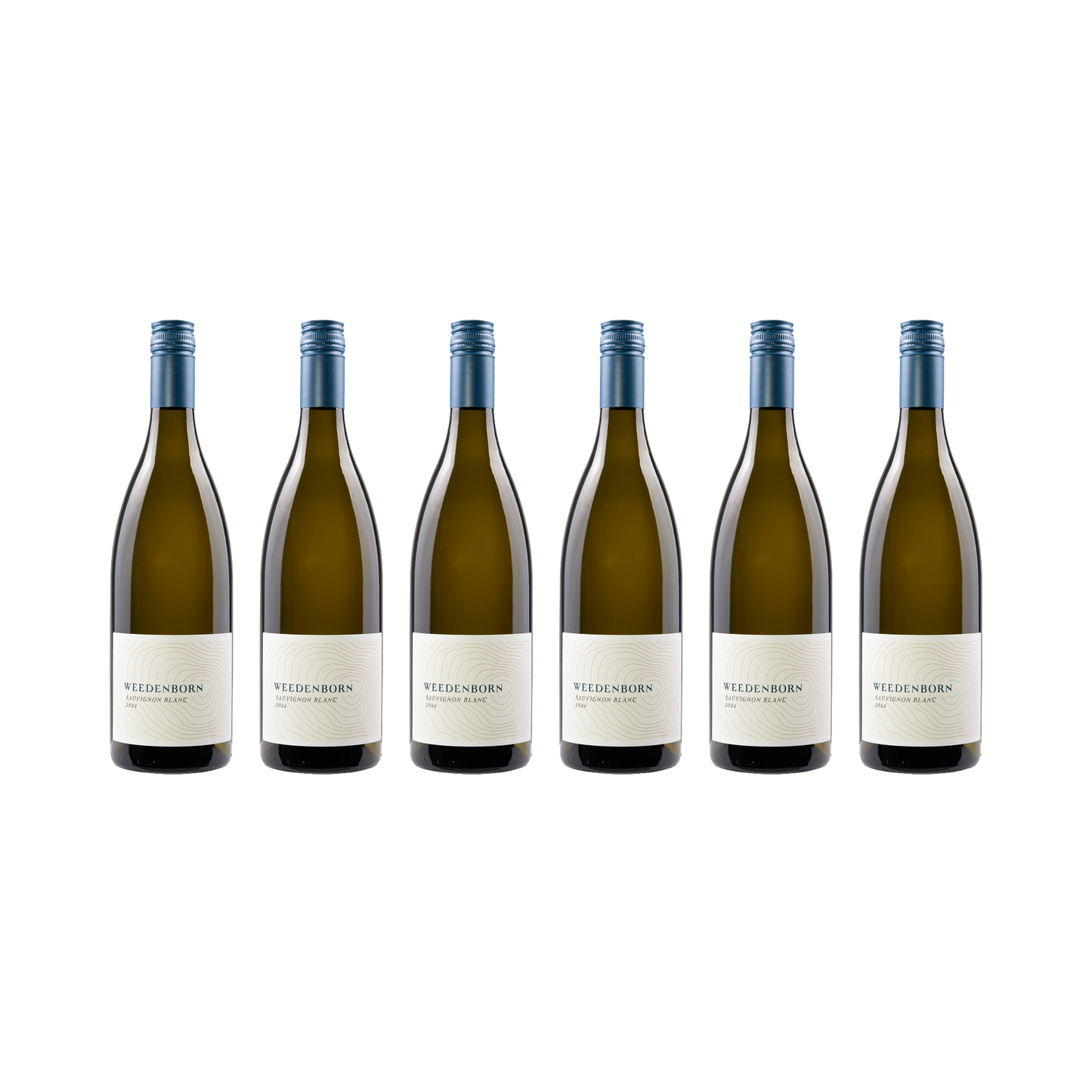 Sauvignon Blanc 2024 — 6× 750 ml