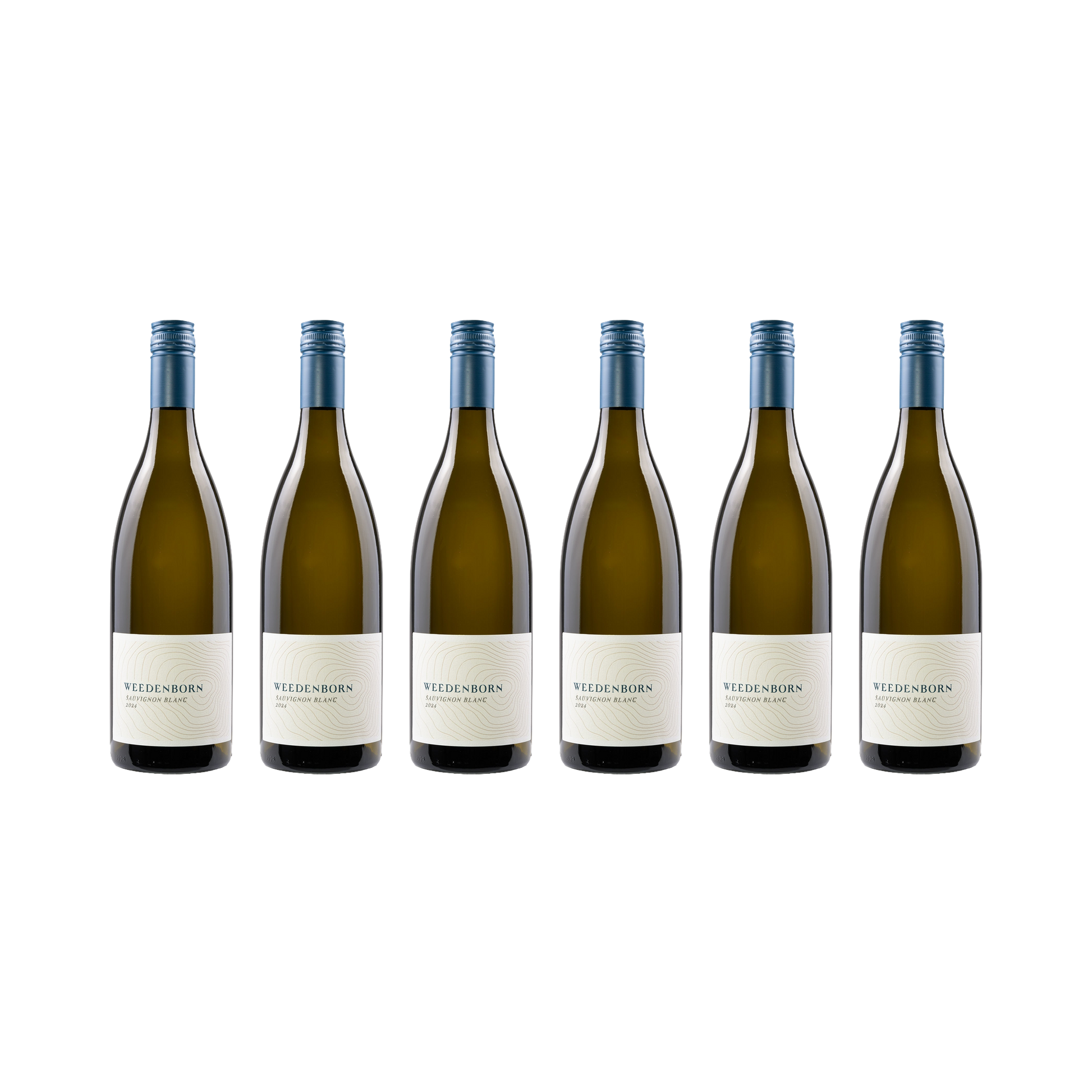 Sauvignon Blanc 2024 — 6× 750 ml