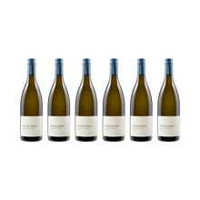 Sauvignon Blanc 2024 — 6× 750 ml