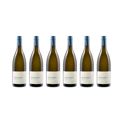 Sauvignon Blanc 2024 — 6× 750 ml